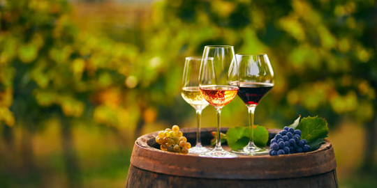 Why Wines Are Expensive | Factors And Characteristics