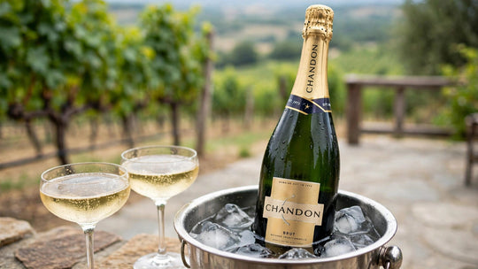 Sparkling Wine Guide: Prosecco, Cava and California Brut — Freixenet, La Marca, Korbel, Chandon and J Vineyards